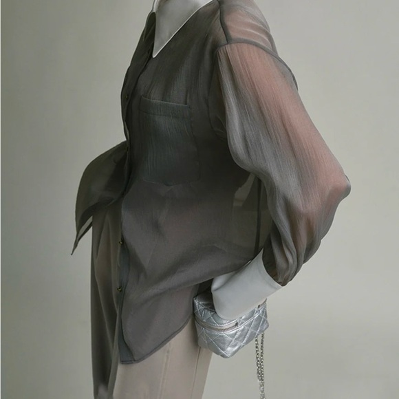Chic Sheer Gray Blouse with White Collar - Picture 3 of 5